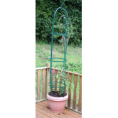 Garden Obelisk