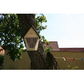 Papillon Butterfly Box