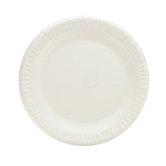 9" Non-Laminated Foam Plastic Round Plates 125/Pack in White