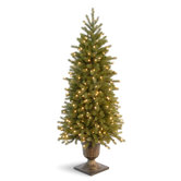 National Tree Co. Outdoor Decorations