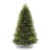 Dunhill Fir 9' Tree