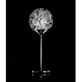 Coral Table Lamp- With Reading Led Light