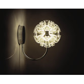 Coral Wall Sconce