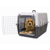 Cushion for Pet Carrier 4
