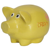 Girly Chic Double Sided Wish, Dream Piggy Bank