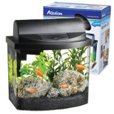 Mini Bow Desktop Aquarium Kit