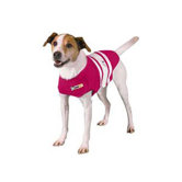 Dog Jacket for Anxiety in Pink
