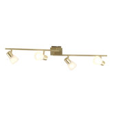 Raider 4 Light Track Light in Brass Matte