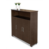 Executive Storage Cabinet