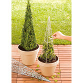 Obelisk Boxwood Grid (Set of 2)