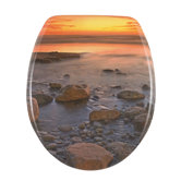 Stone Shore Toilet Seat