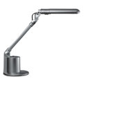 Flash 1 Light Task Lamp