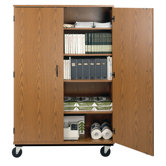 Mobile General Storage Unit