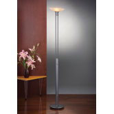 1 Light Tall Floor Lamp