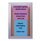 Bulletin Board,w/Concealed Light,Cork Surface,1-Door,2'x3'