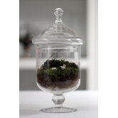 Grazed and Confused Assembled Terrarium