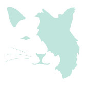 Animal Face - Cat Stretched Wall Art