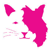 Animal Face - Cat Stretched Wall Art