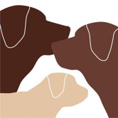 Animal - Dog Family Stretched Wall Art