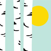 Imagination - Birch Sunset Stretched Wall Art