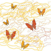 Imagination - Butterfly Trails Stretched Wall Art