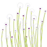 Imagination - Dandelion Stretched Wall Art