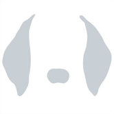 Animal Face - Floppy Ears Stretched Wall Art