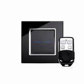 RTS2020 Touch and Remote Light Switch