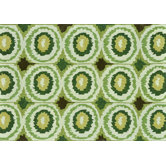 Enzo Lime Indoor / Rug