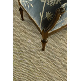 Transo Beige/Blue Rug