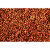 Dion Rug