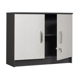2 Door Wall Cabinet