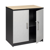 2 Door Wall Cabinet