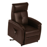 Real Mobility Lift and Tilt Recliner
