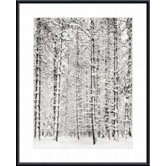 Pine Forest in the Snow, Yosemite National Park by Ansel Adams Metal Framed Art Print