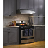 Under Cabinet Hood with Straight Professional Lip