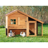 Rabbit Hutch with View