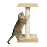 Espejo Scratching Post