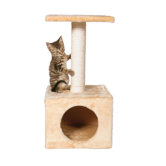 Zamora Kitten Tree