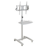 Lumina 25" Flat Panel Stand in Brushed Metal