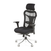 Ergo High-Back Executive Chair