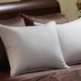 Down Chamber Pillow