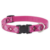 Puppy Love 3/4" Adjustable Dog Collar