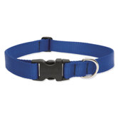 Solid 1" Adjustable Dog Collar