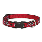 Wild West 3/4" Adjustable Dog Collar