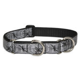 Web Master 1" Adjustable Dog Combo Collar