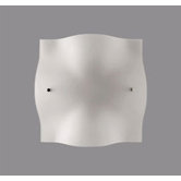 Manta Wall and Ceiling Light