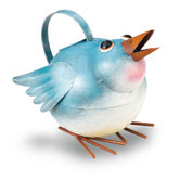 Bird Watering Can