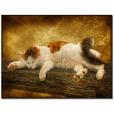Sleeping Kitty by Lois Bryan, Canvas Art - 22"  x 32"