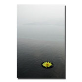 Zen Lotus by Kurt Shaffer Canvas Art